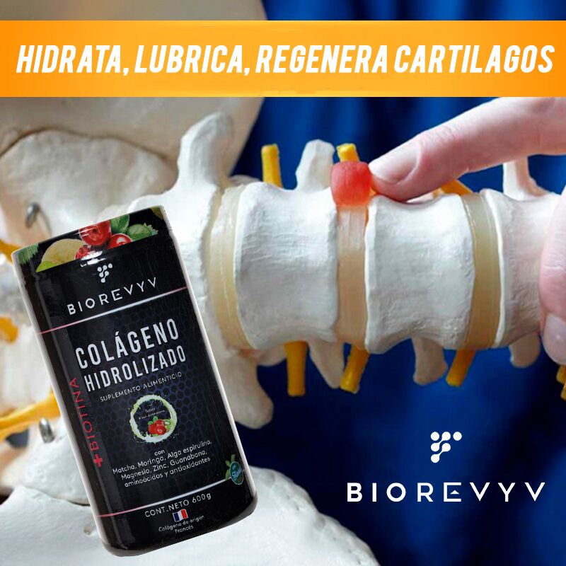 herniarevyv