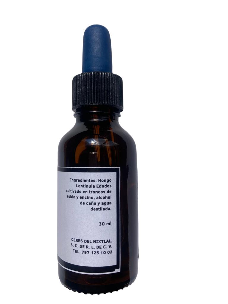 Lentinula Shiitake lateral