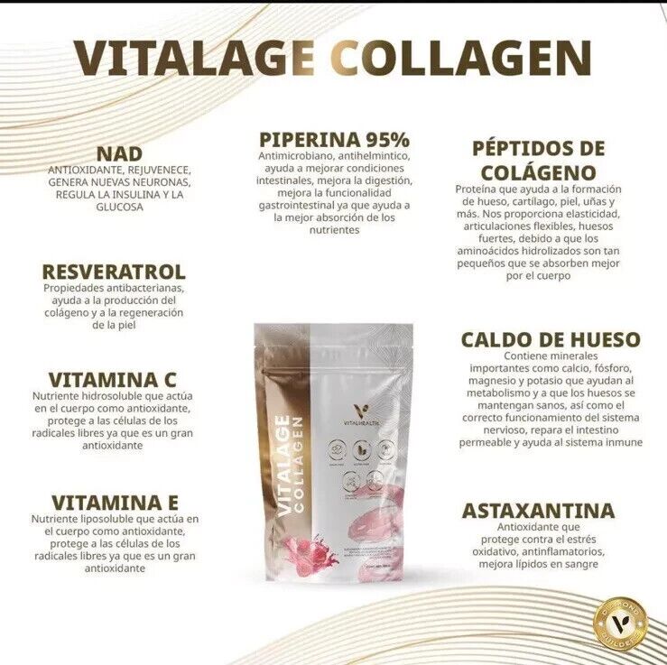 vitalageCollegen VH